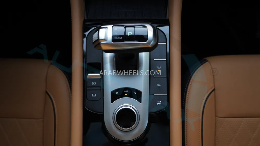 جريت وول باور 2025 for Sale in وادي الدواسر Image-23