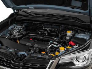 Subaru Forester Exterior 