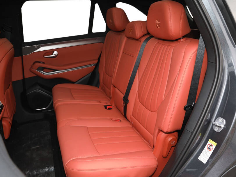 بي واي دي Tang L Interior 
