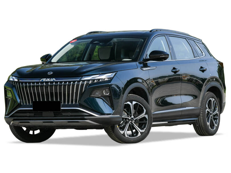 دونغ فينغ ضخم الداخلية 