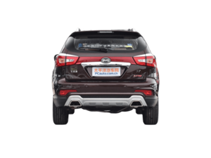 بي واي دي إس ٧ الخارجية 