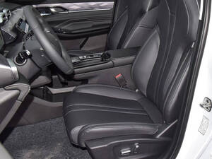 Dongfeng Mage Interior 