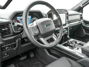 فورد إف ٢٥٠ الداخلية 