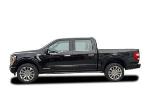 فورد إف ٢٥٠ الخارجية 