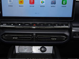 هافال دارغو الداخلية 