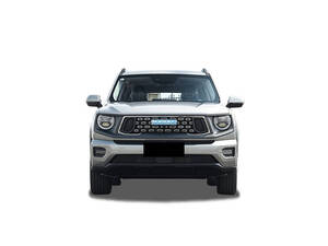 هافال دارغو الخارجية 