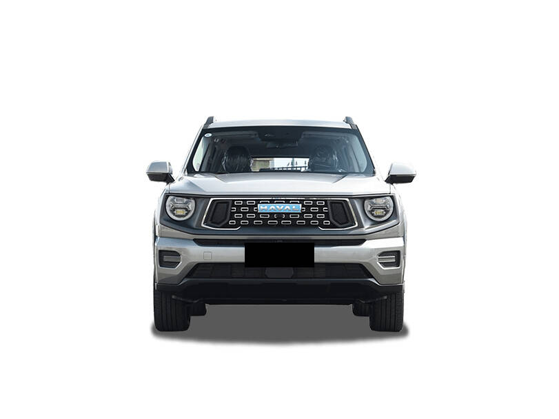 هافال دارغو 2025 Exterior 